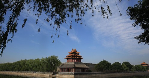 Image 286716041