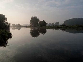 Image 286750777