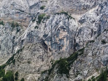 Image 286750782