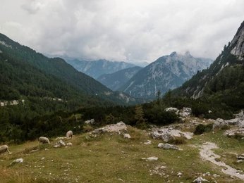 Image 286750792