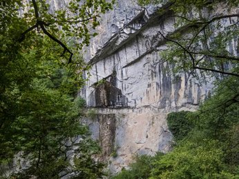 Image 286750795