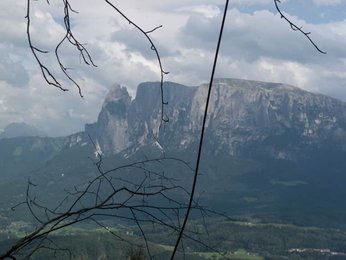 Image 286750800