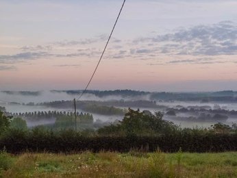 Image 286750814