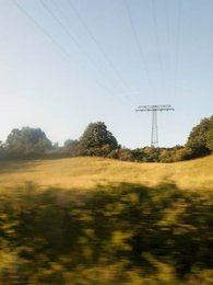Image 286750866