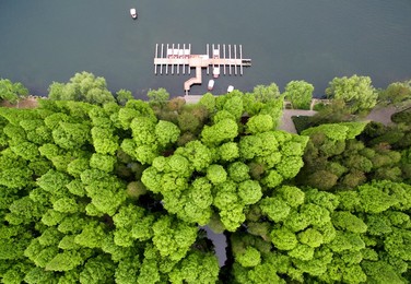 Image 286816476
