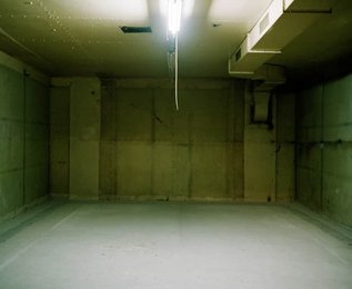 Image 286850475