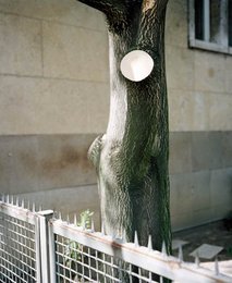 Image 286850501