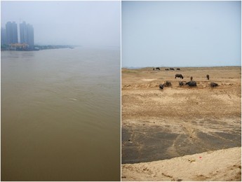 Image 286886081