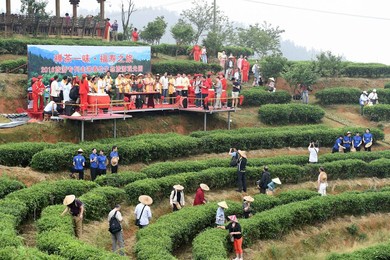 Image 286887029