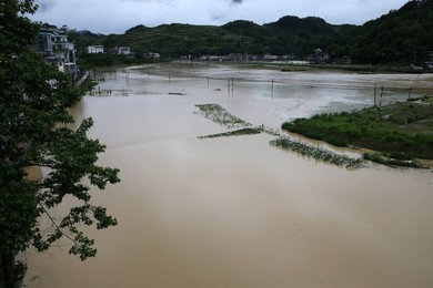Image 288789802