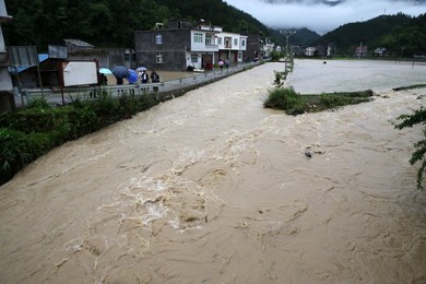 Image 288789809