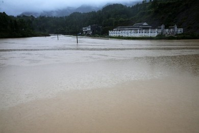Image 288789815