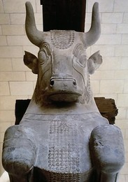 Image 288791424