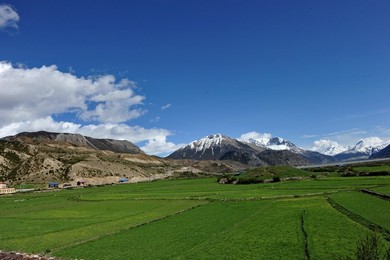 Image 289048979