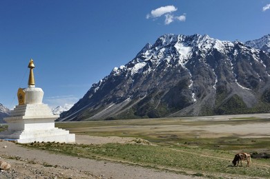 Image 289048981