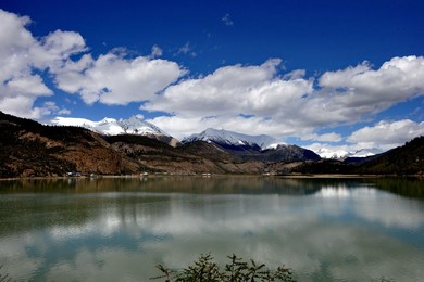 Image 289048985