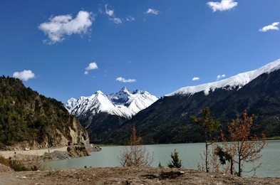 Image 289048988