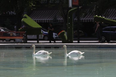 Image 289049629