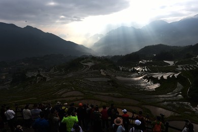 Image 289053278