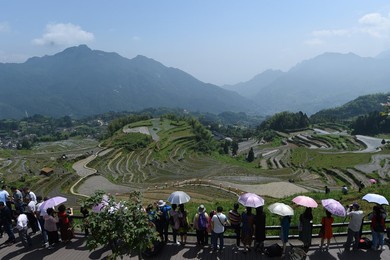 Image 289053280