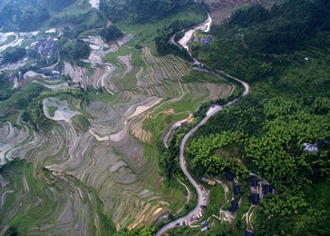 Image 289053281