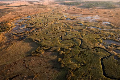 ANGOLA-CUANDO-KUBANGO-NATURE