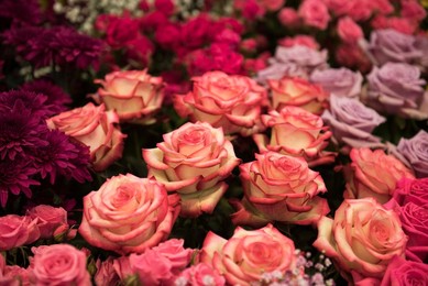 Image 289716496