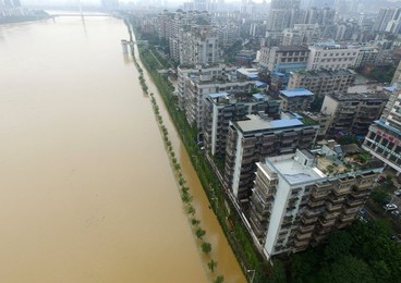 Image 290786262
