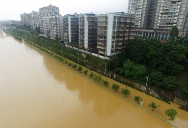 Image 290786265
