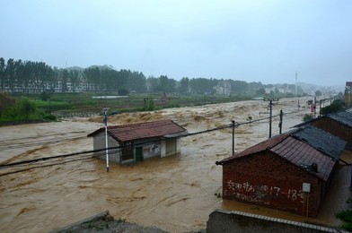 Image 291773673