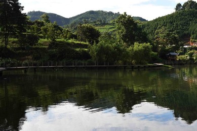 Image 291775497