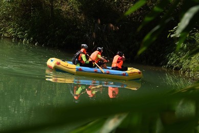 Image 291775501