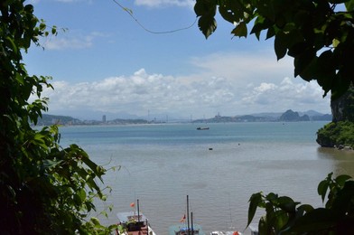 Image 291777954