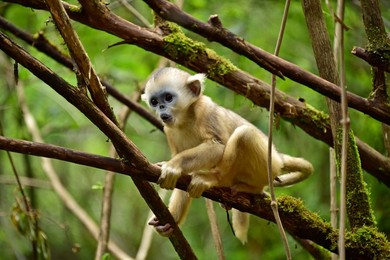 Image 292041748