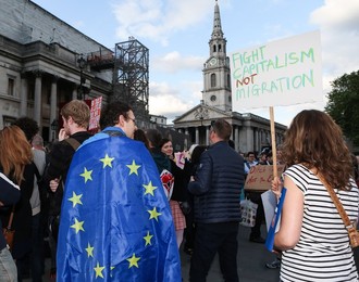 Image 292042119