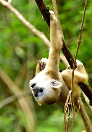 Image 292042160