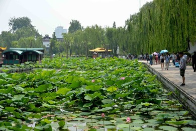 Image 292984217
