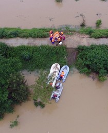 Image 292995919