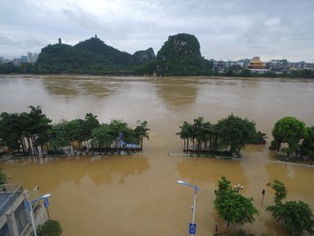 Image 293274194