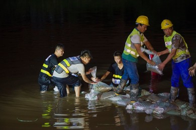 Image 293287691