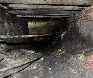 Image 293287818