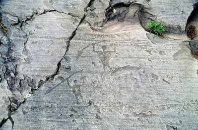 Image 293377615