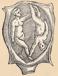Image 293383114