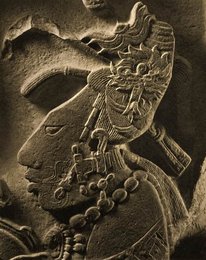 Image 293383561