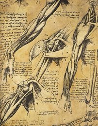 Image 293384513