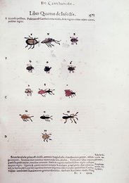 Image 293401218