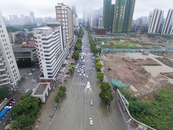 Image 293407691