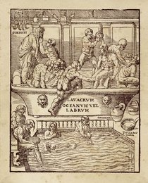 Image 293449094