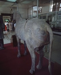 Image 293525216