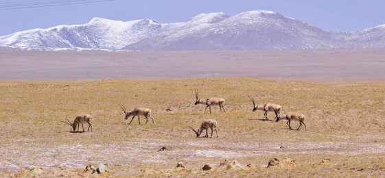 Image 293561857